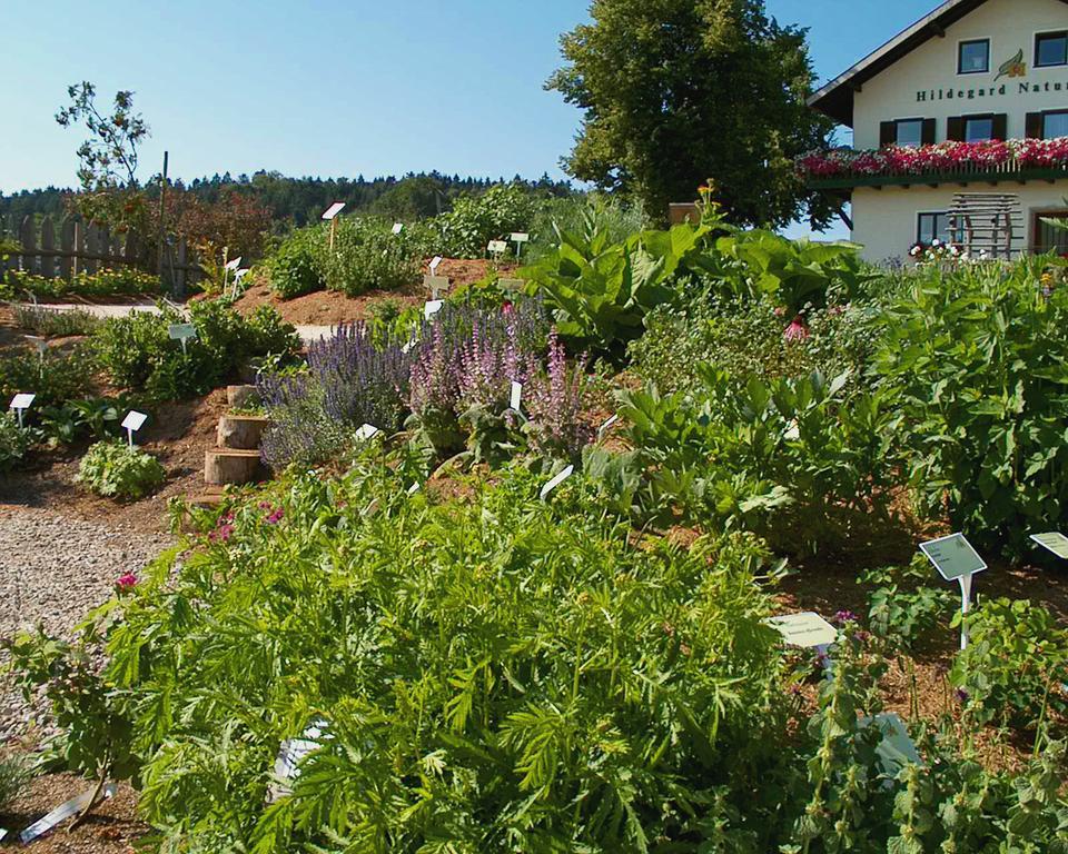 Hildegard Naturhaus Kirchberg bei Mattighofen Ngoại thất bức ảnh